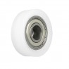 Polyamidrolle Ø 35mm mit Kugellager / R-35-10/10