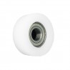Polyamidrolle Ø 43mm mit Kugellager/R-43