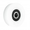 Polyamidrolle Ø 60mm mit Kugellager/R-60-15/10